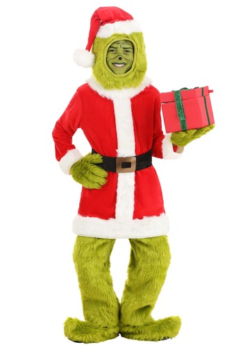 The grinch kid santa - grinch, kid's