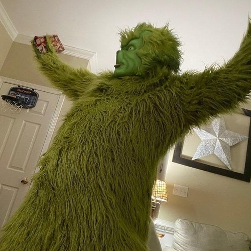 Kid adult green furry monster - furry,